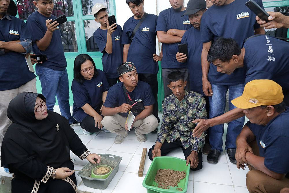 Asian Agri Gelar Pelatihan Budidaya Maggot Dan Azolla