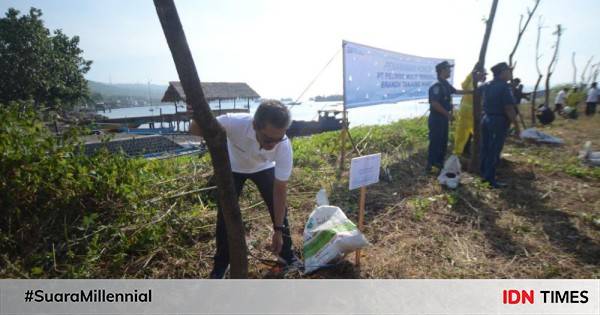 Pelindo Multi Terminal Hijaukan Pelabuhan Tanjung Wangi