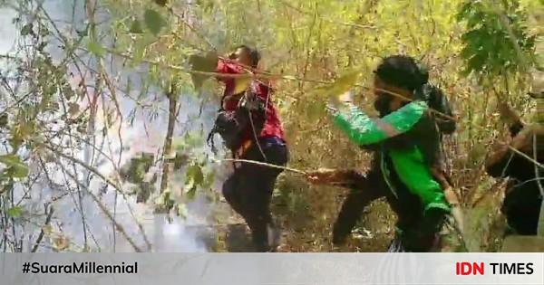 Luas Kebakaran Di Lereng Hutan Gunung Lawu Ngawi Hektare