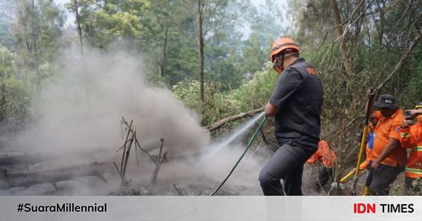 Kebakaran Bukit Teletubbies Fokus Pembasahan