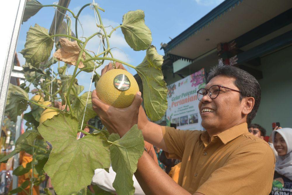 Petani Di Kota Jogja Tetap Produktif Meski Lahan Terbatas