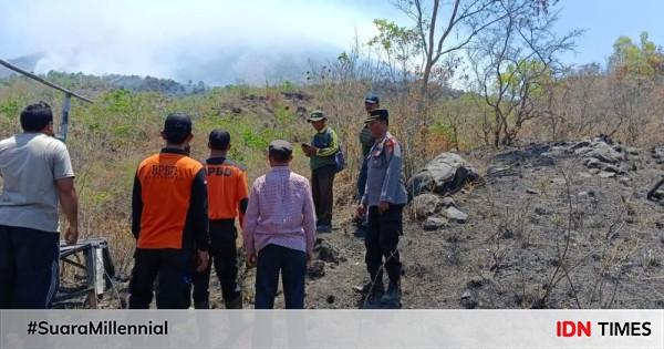 Hutan Gunung Agung Dan Batur Terbakar Bali Siaga Darurat 14