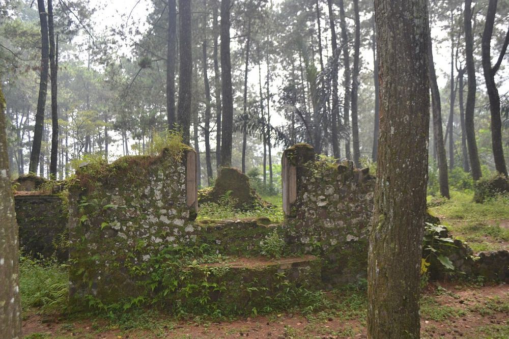 Bumi Perkemahan Gunung Puntang Lokasi Tiket Dan Tips