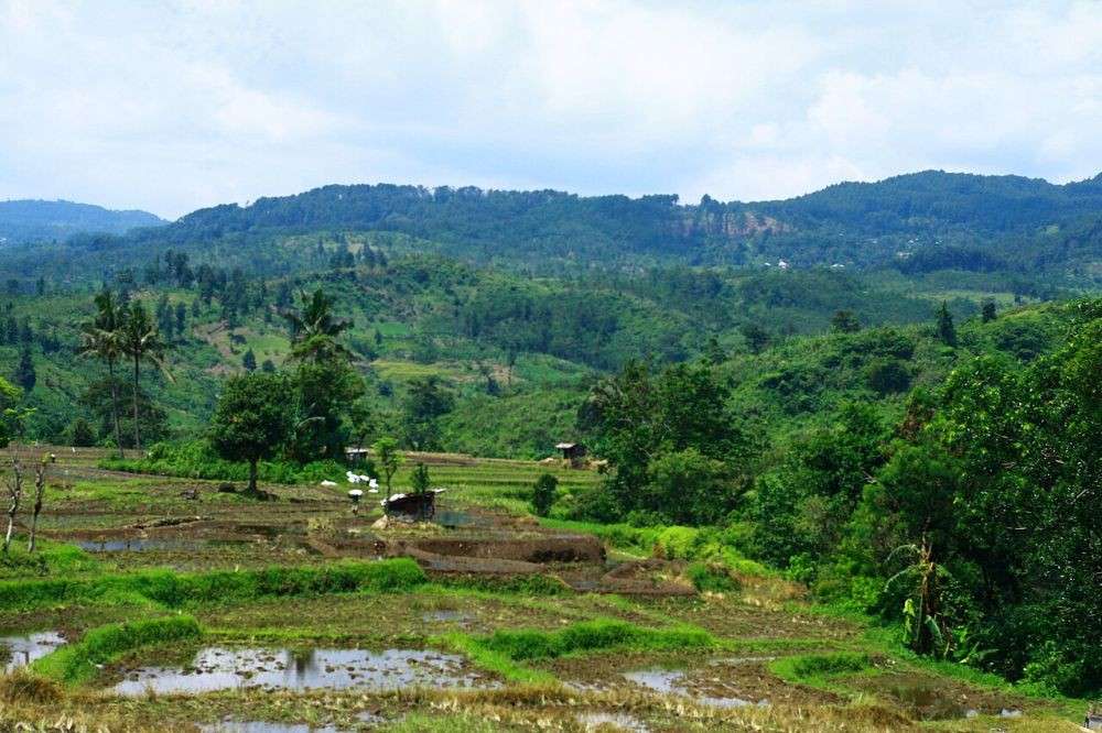 Curug Bengkawah Pemalang Lokasi Harga Tiket Dan Rute