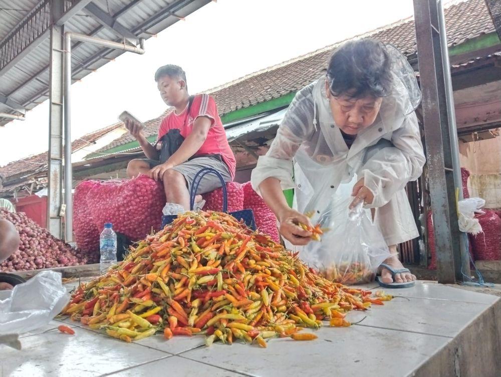 Harga Cabai Di Tulungagung Terus Naik Karena Hal Ini