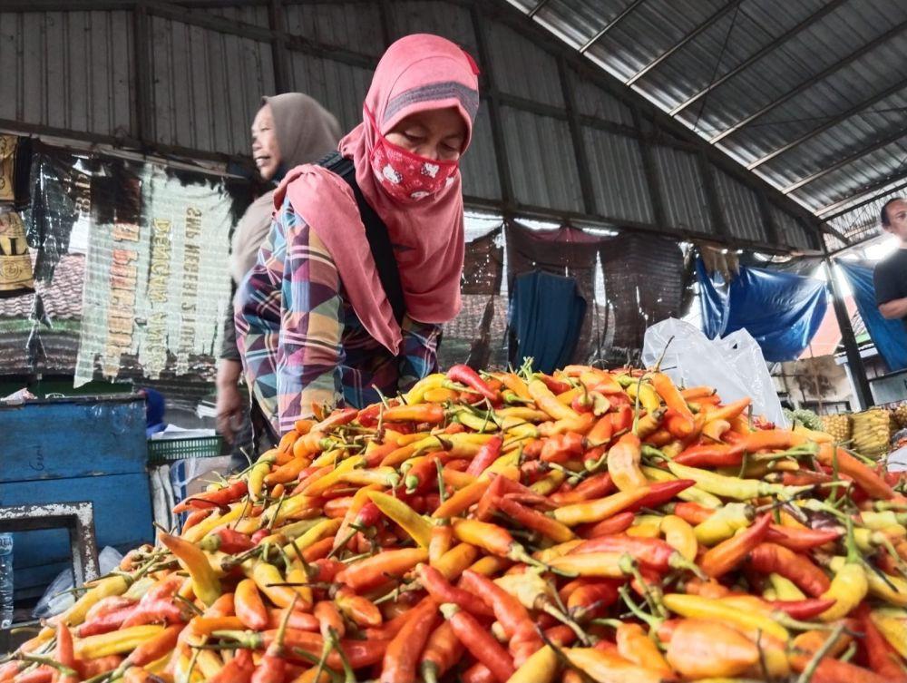 Harga Cabai Di Tulungagung Terus Naik Karena Hal Ini