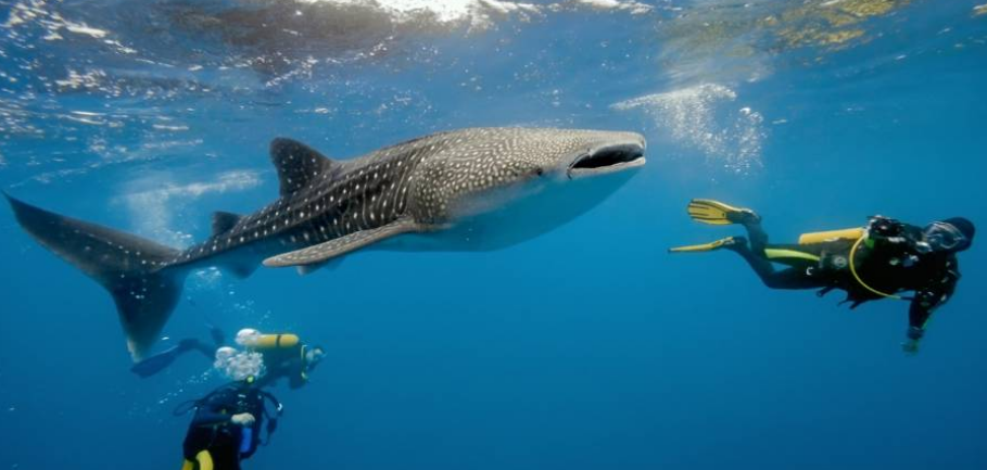 Tujuan Wisata Bulan Madu