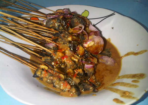 sate bekicot