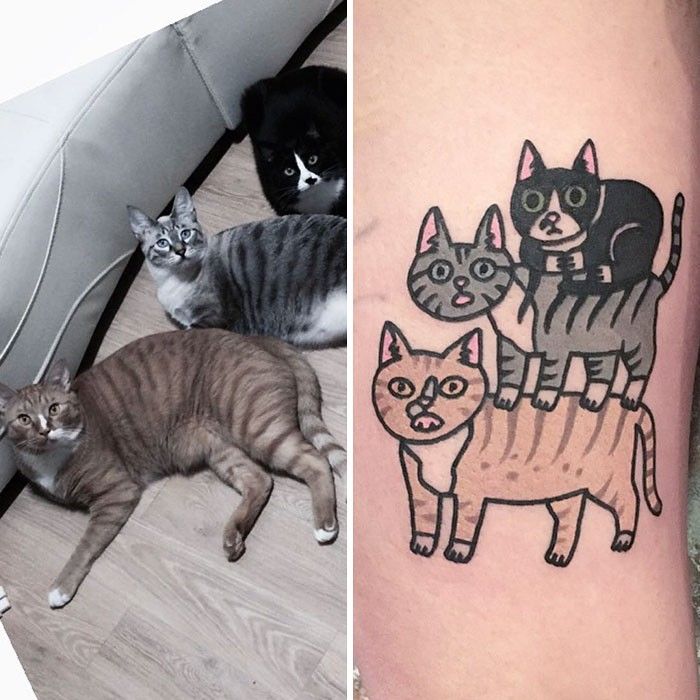 Gambar Tato Kucing Lucu Gambar Kodok HD