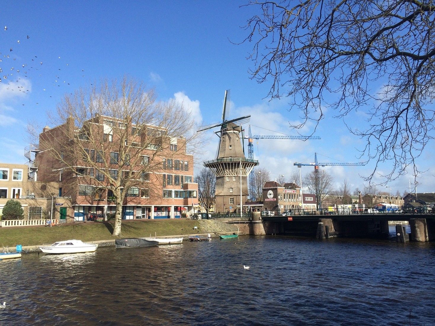 9 Things You Must Do in Amsterdam