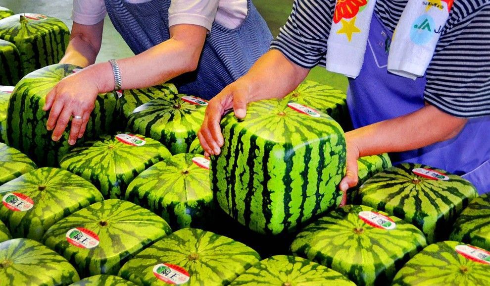Ini 16 Keunikan Jepang yang Bisa Membuat Kita Takjub dan Menggelengkan Kepala