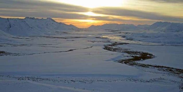 5 Fakta Unik Soal Wilayah Di Lingkaran Arktik