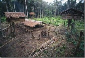 5 Suku Misterius Ini Masih Ada di Indonesia, Satu di Antaranya Suku Kanibal!