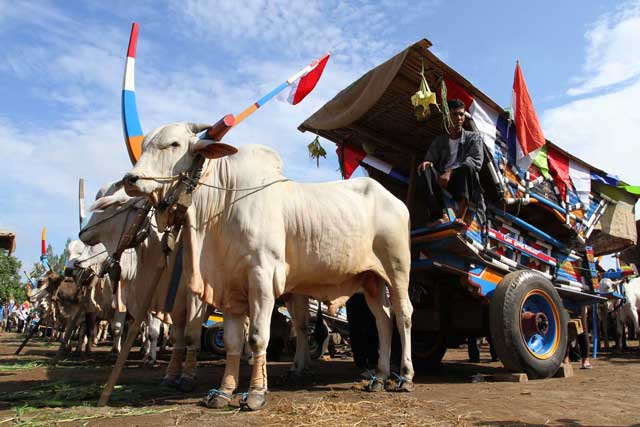 Tradisi Unik Lebaran di Berbagai Daerah di Indonesia