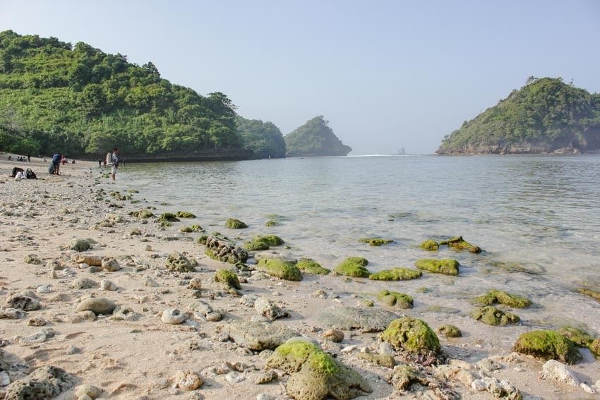 Wisata Murah Meriah Ini 8 Pantai di Malang yang Wajib 