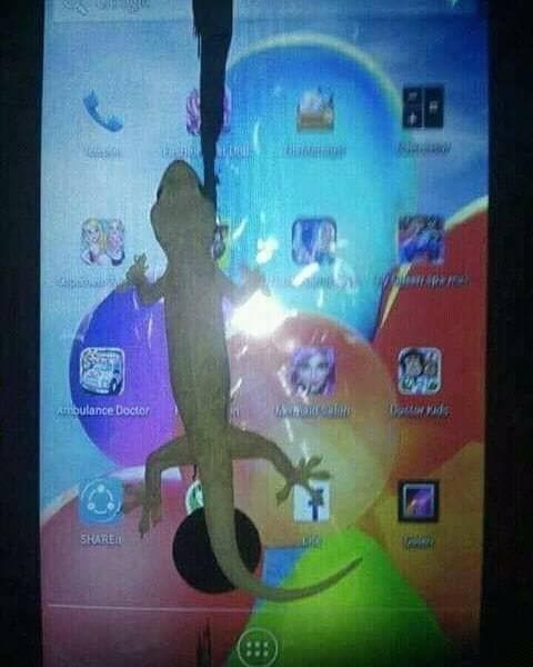Layar Smartphone Muncul Ular, Beragam Meme Kocak pun Bikin Ngakak!