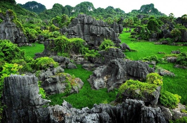 Keren! 20 Taman Nasional Paling Eksotis di Indonesia