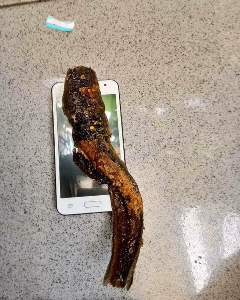 Layar Smartphone Muncul Ular, Beragam Meme Kocak pun Bikin Ngakak!