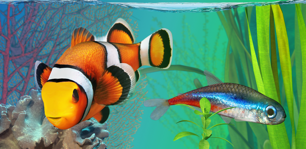 74 Gambar 2 Dimensi Ikan Paling Hist Gambar Pixabay