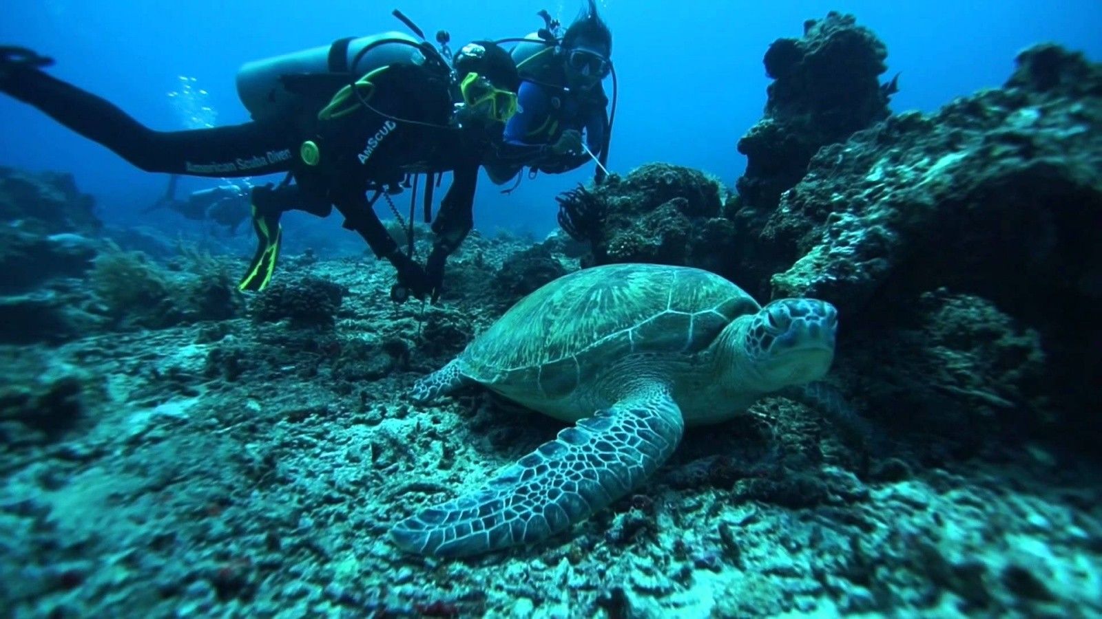 Info Lokasi dan Rute Tercepat Menuju Gili Tangkong