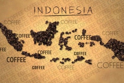 Mendunia, Ini 7 Kopi Indonesia yang Paling Digandrungi