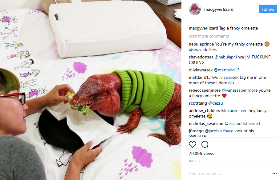 Perhatikan Hewan Peliharaan Wanita Ini, Bikin Merinding Ya