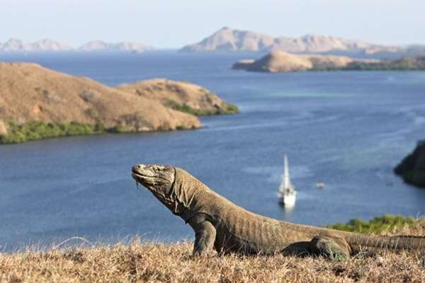 Keren 20 Taman Nasional Paling Eksotis Di Indonesia