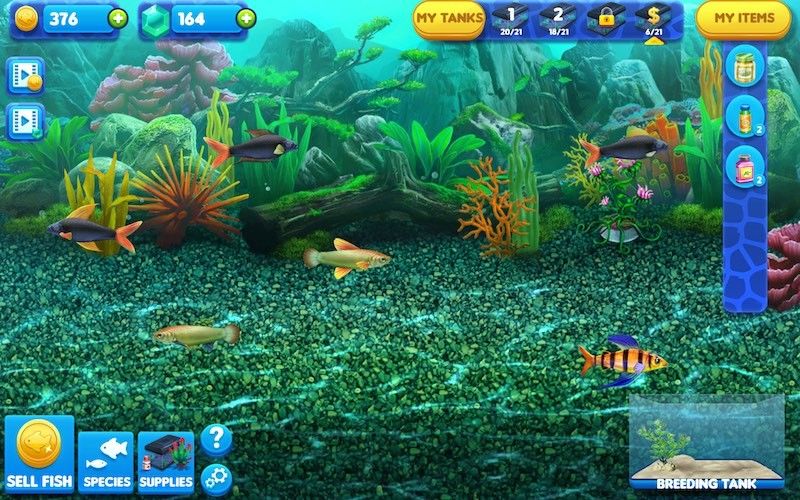 5 Game Android Buat Kamu Yang Hobi Pelihara Ikan Di Akuarium