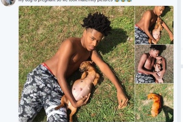 Photoshoot Kehamilan Bersama Anjing, Pria Ini Dipuji Netizen