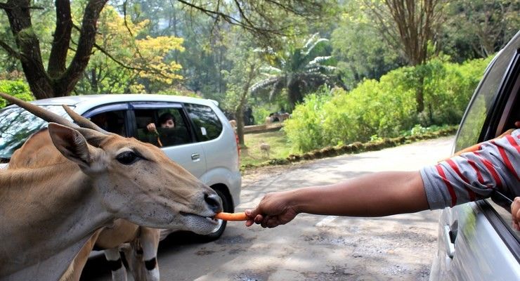 13 Tempat Wisata di Pulau Jawa Ini Pasti Bikin Kamu Jatuh Cinta