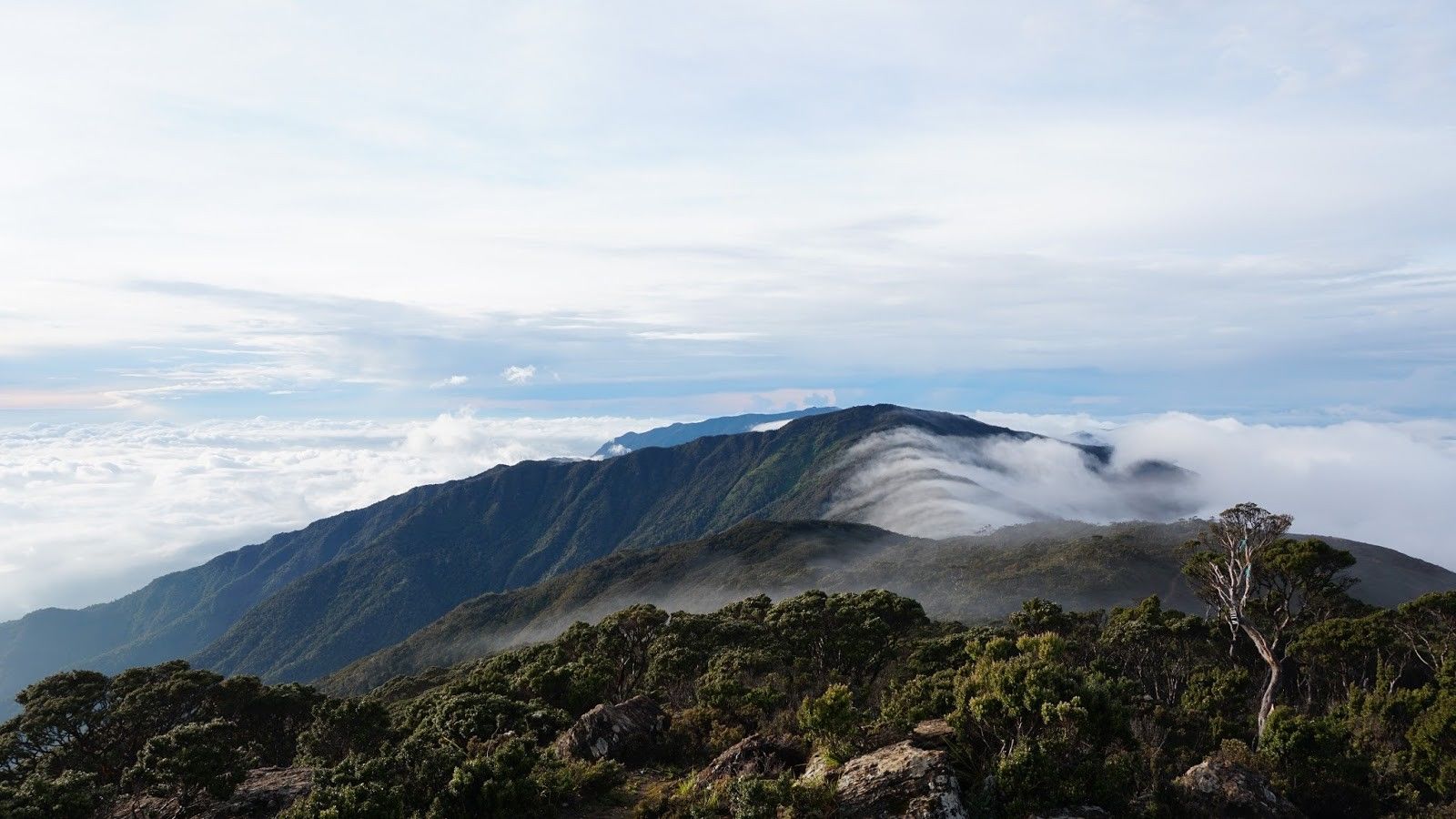 Puncak Rantemario Gunung Latimojong Puncak Tertinggi di Pulau Sulawesi