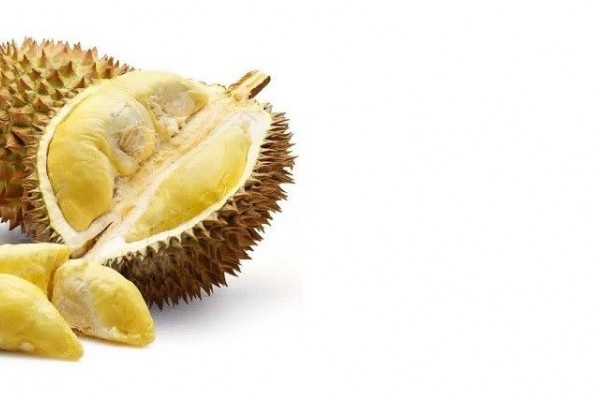 Unduh 720 Koleksi Gambar Durian Terbaik Terbaru HD