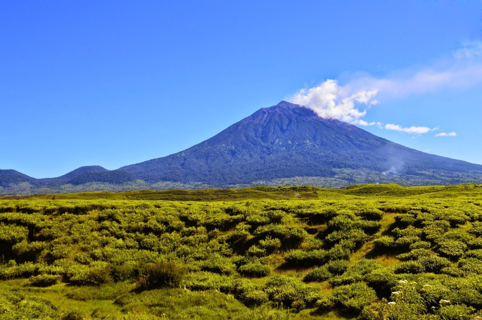 Kamu WAJIB Tahu 4 Tingkatan Status Gunung Berapi Sebelum Erupsi