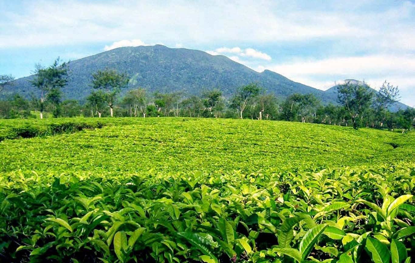 5 Destinasi Wisata di Majalengka yang Wajib Kamu Kunjungi