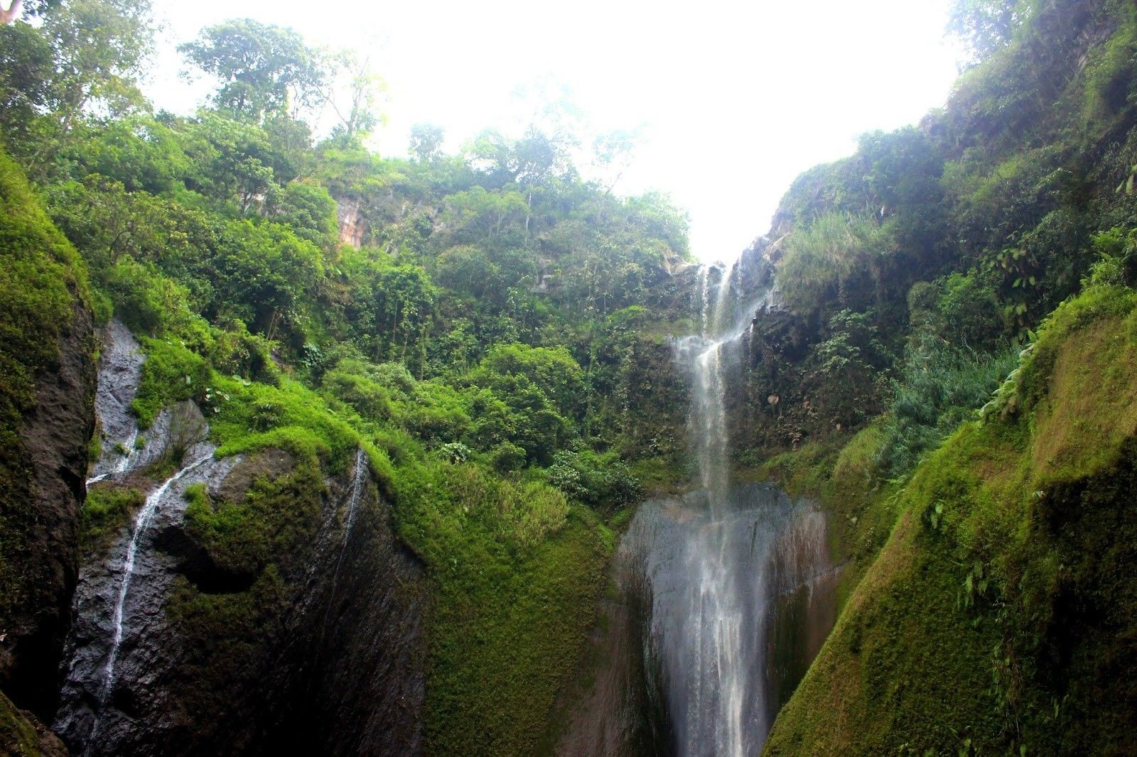 15 Destinasi Wisata Alam Probolinggo Yang Jarang Orang Tahu