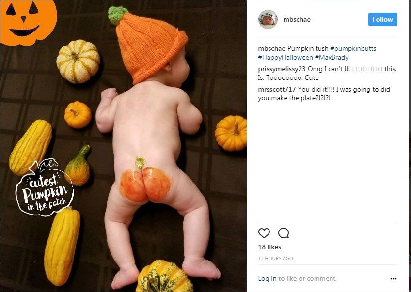 Baby Pumpkin Butts ini mulai muncul beberapa tahun lalu. 