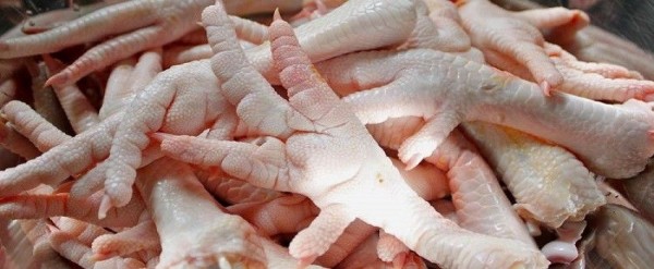 Hindari Makan 7 Bagian Tubuh Ayam Ini Kalau Mau Panjang Umur