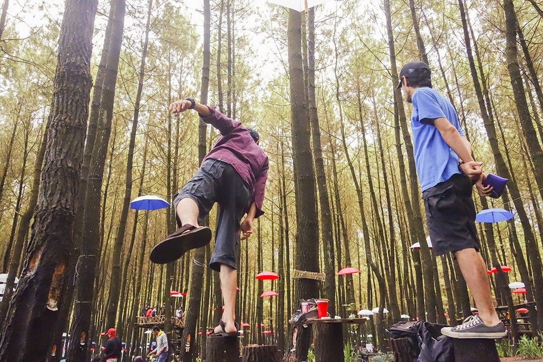 Direviewid 4 Wisata Hutan Pinus Di Jawa Timur Yang Keren