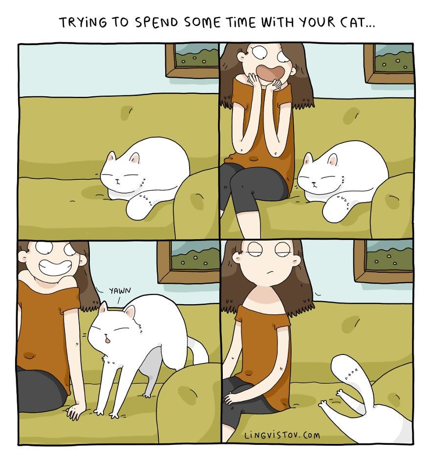 14 Ilustrasi Yang Cuma Dirasakan Pencinta Kucing