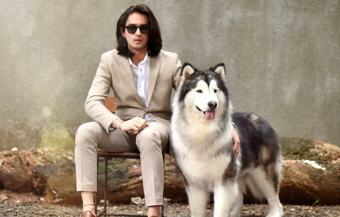 Gemas 7 Artis Ini Rame Rame Foto Bareng Anjing Alaska Yang Lucu Ini