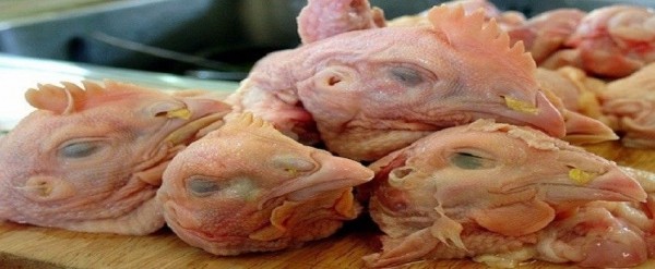 Hindari Makan 7 Bagian Tubuh Ayam Ini Kalau Mau Panjang Umur