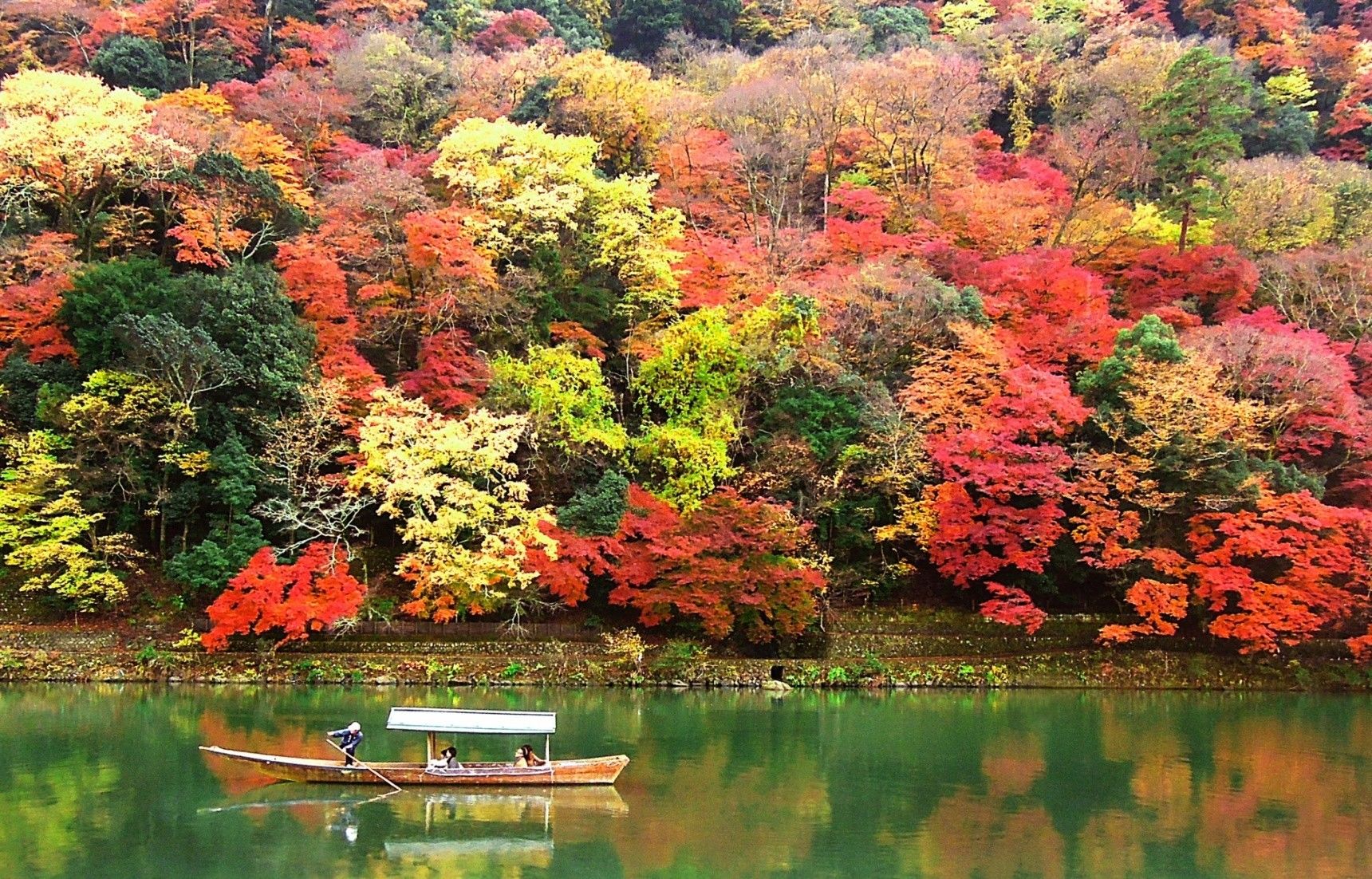 5 Taman Bunga Yang Wajib Dikunjungi Saat Musim Gugur Di Jepang