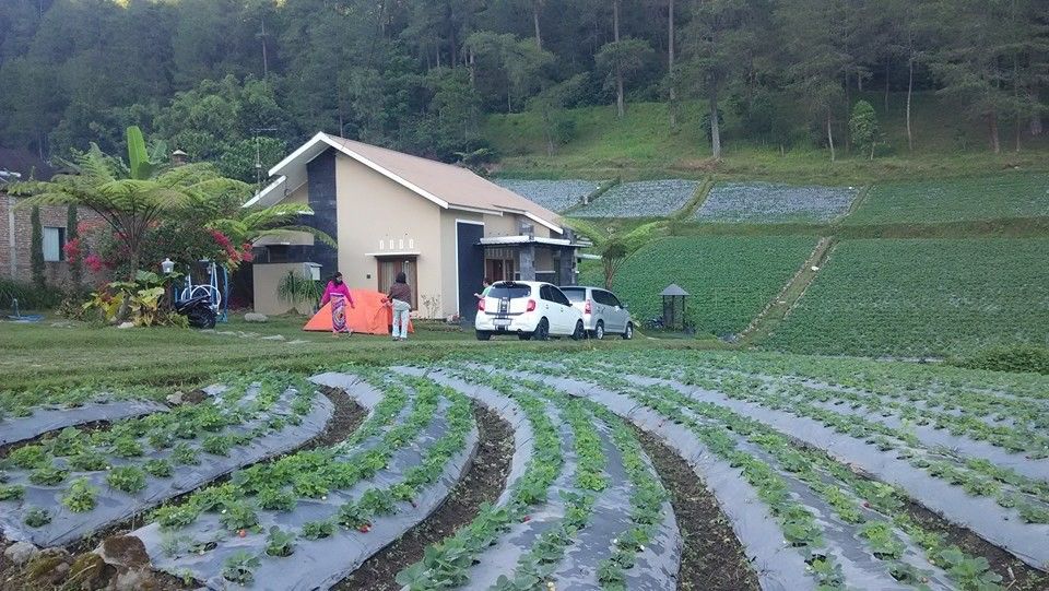 Nikmati 10 Suasana Liburan Akhir Pekan di Bukit Sekipan 