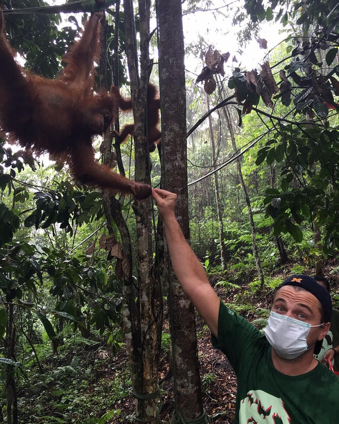 10 Taman Nasional Milik Indonesia Yang Cantiknya Mendunia