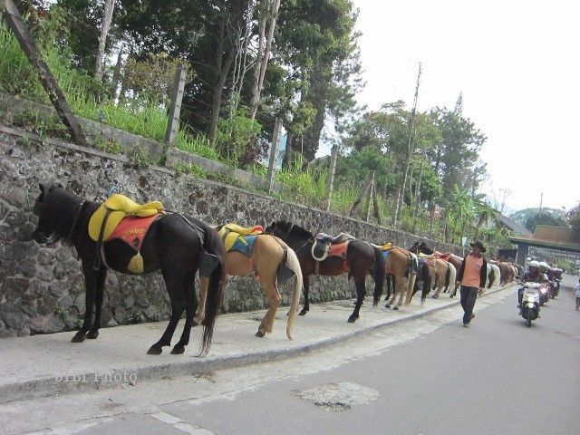 Nikmati 10 Suasana Liburan Akhir Pekan di Bukit Sekipan 