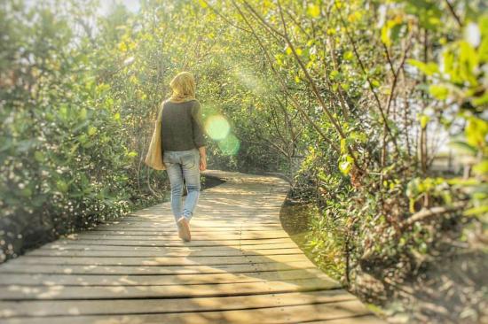 3 Wisata Mangrove Paling Indah Di Jawa Timur Sudah Pernah