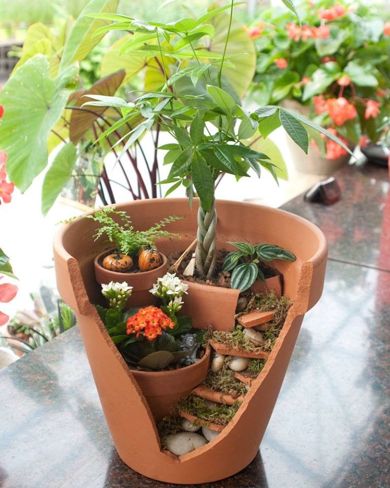 13 Desain Mini Garden Dari Pot Pecah Bikin Ruangan Makin Cantik Nih