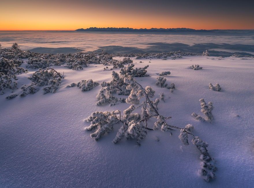 8 Pemandangan Salju Saat Musim Dingin di Polandia Ini Mengagumkan