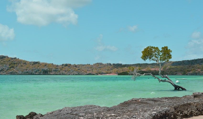 Surga Tersembunyi, 5 tempat di Pulau Rote Ini Bikin Jatuh Hati