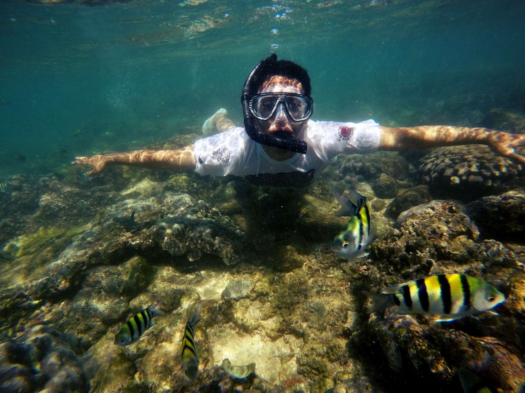 10 Potret Indah Surga Bawah Laut di Pulau Jawa, Bak Negeri Dongeng!